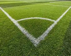 杨幂分享与,赵薇携手新,剧体验,MK体育平台,MK体育官方网站,MK体育登录入口,MK体育app下载