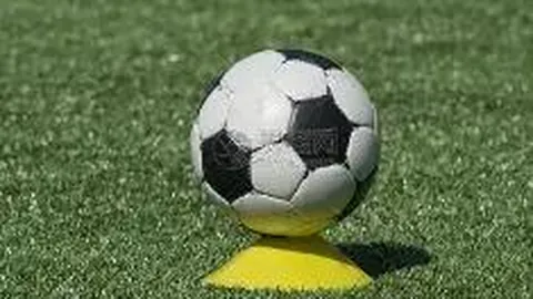 MK体育 产品 115239 slk