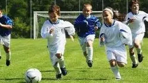 MK体育 产品 115847 cls