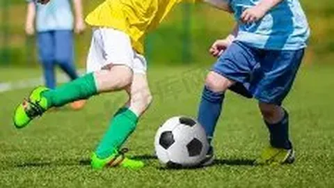 MK体育 资讯 115526 z1w