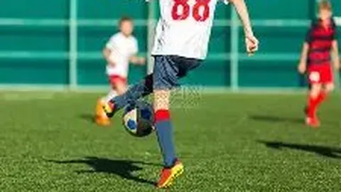 MK体育 产品 100826 2bd