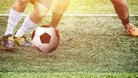 MK体育 产品 094147 87o